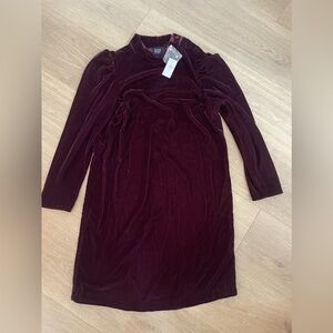 Burgundy Velvet Dress
